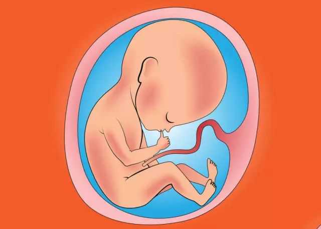 天津可以代孕么，天津早孕可靠的医院天津早早孕什么时候能测出