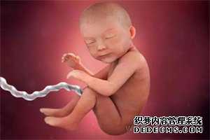 上海助孕世纪代妈